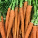 carottes
